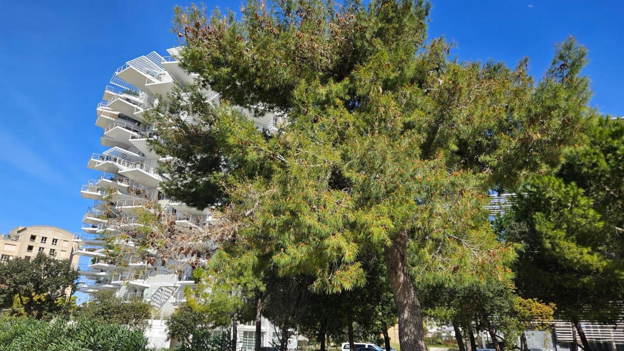 Arbre Blanc, Une Folie Montpellieraine Экстерьер фото